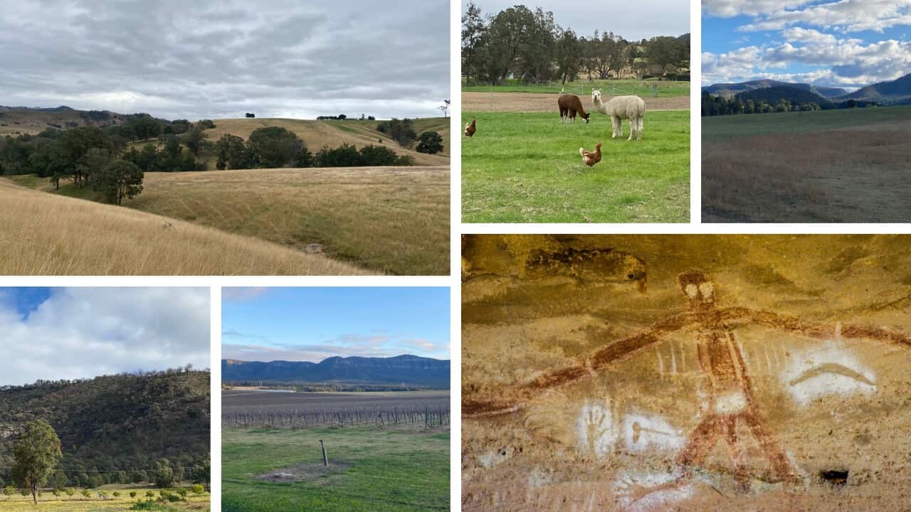 travel to a famous regional city for a Wine in the state of New South Wales : Hunter valley