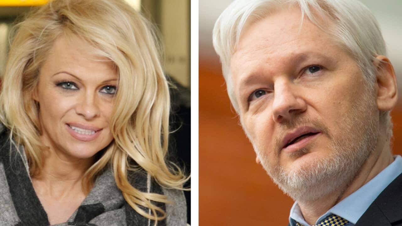 Pamela Anderson and Julian Assange