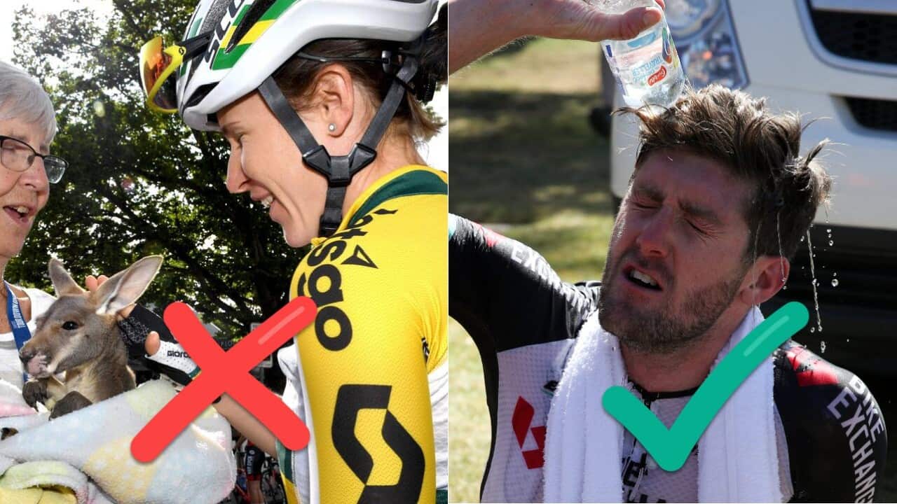 Image for read more article ''