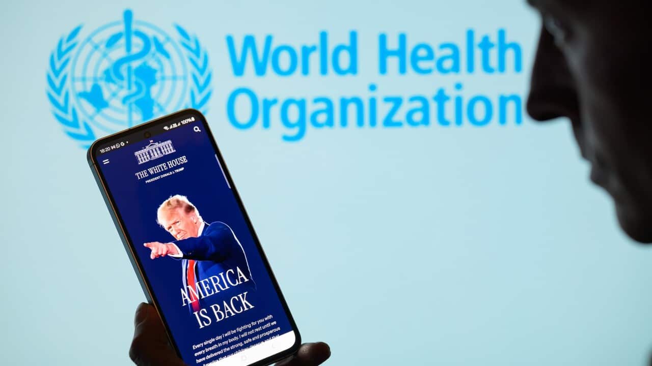 President Donald Trump - World Health Organization (WHO) - Photo Illustration