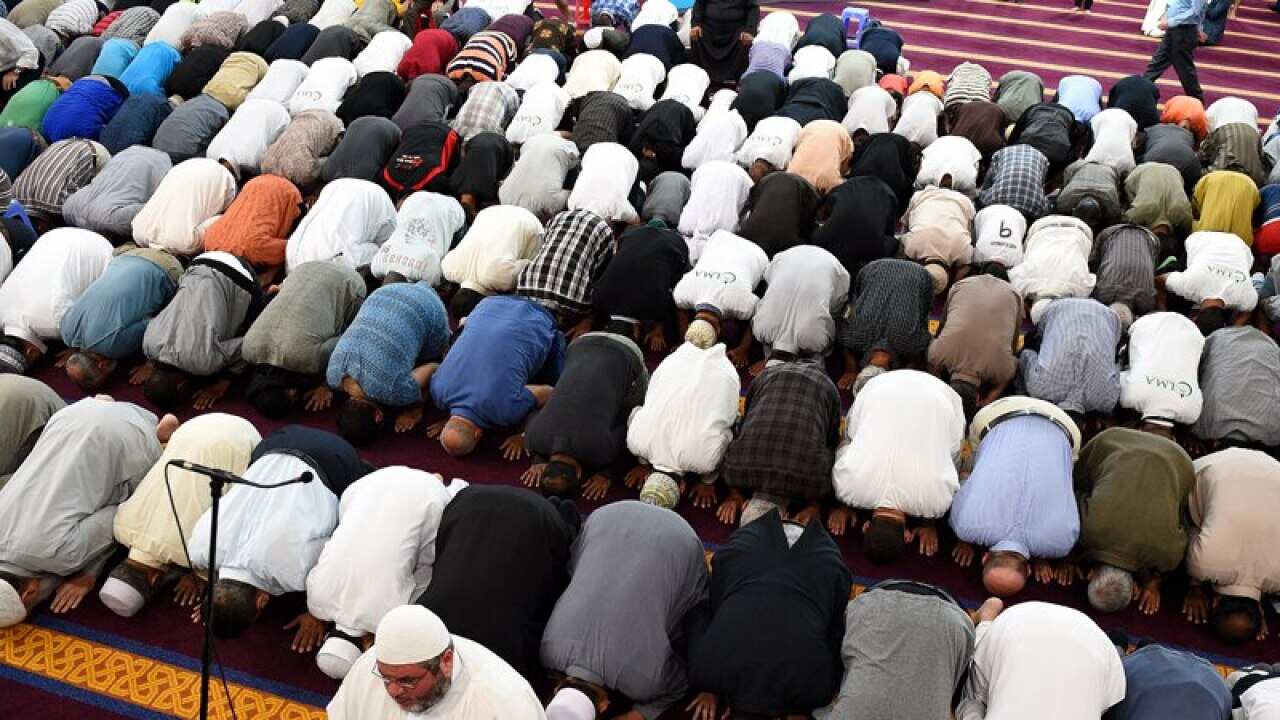 Muslim worshippers pray in a mosque