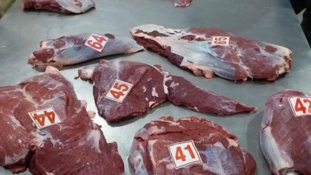 Frozen Buffalo meats imported to Cambodia from India with Covid-19