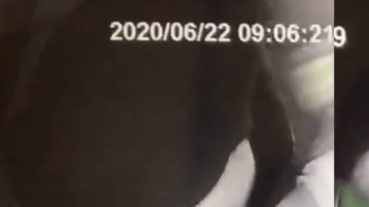 Image for read more article ''