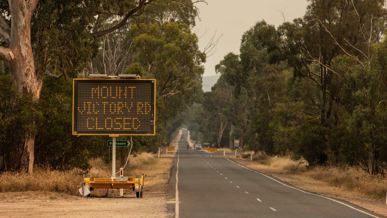BUSHFIRES VICTORIA