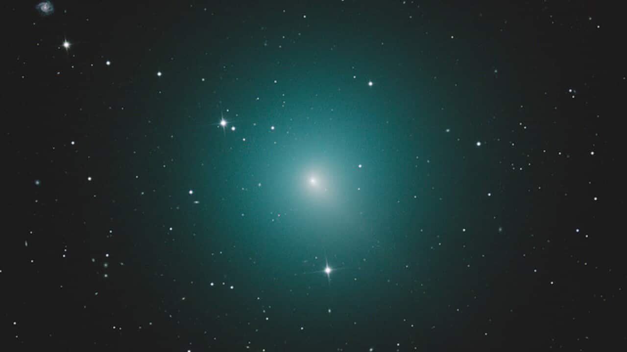The Christmas Comet, named for the time of year it appears