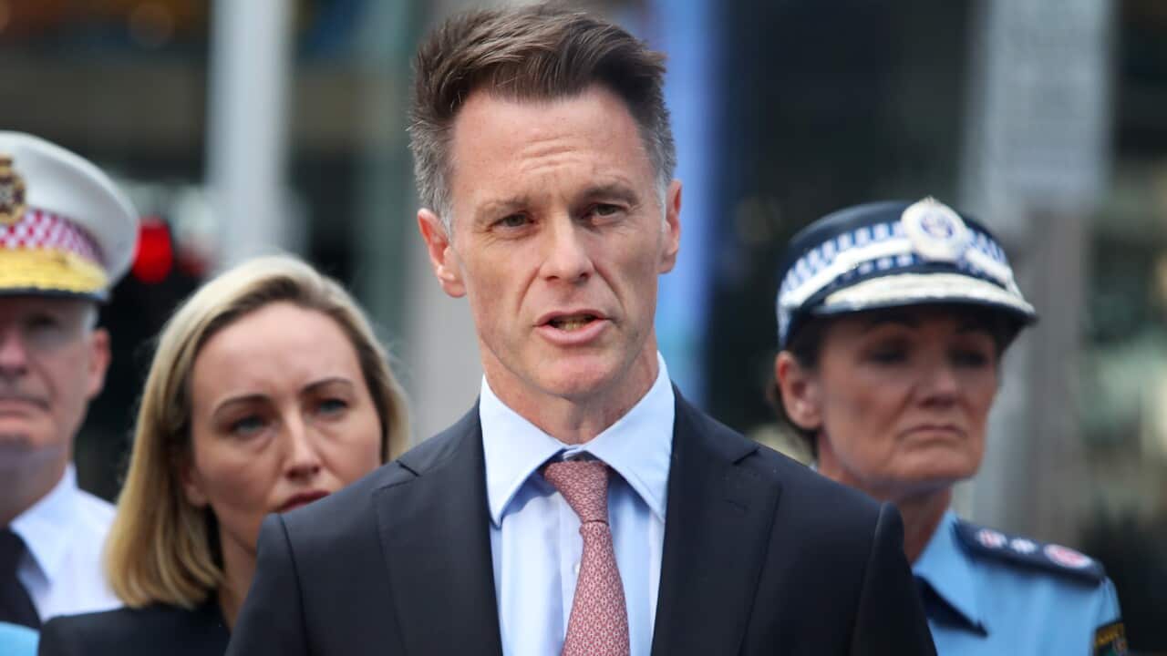 NSW Chris Minns speaking at a press conference