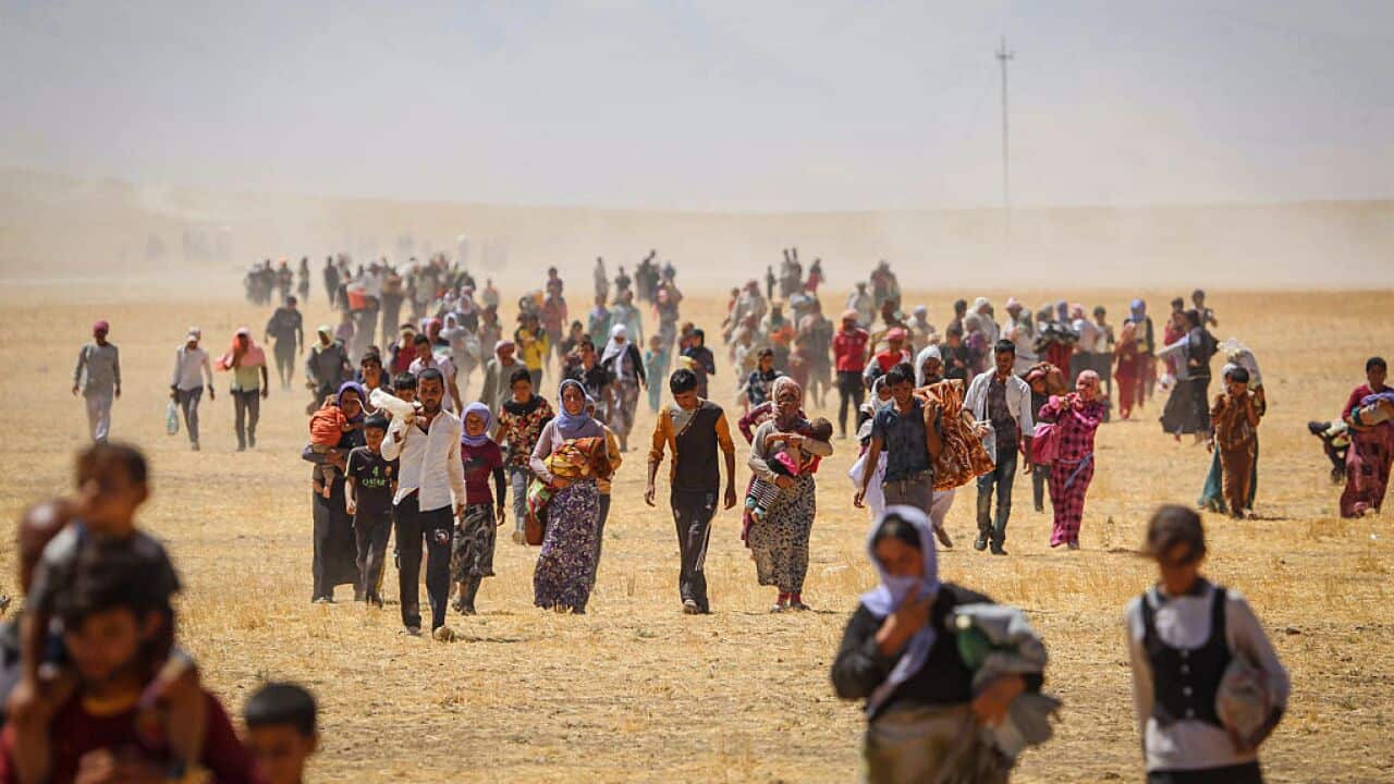 Anadolu Agency's Best Pictures of 2014
