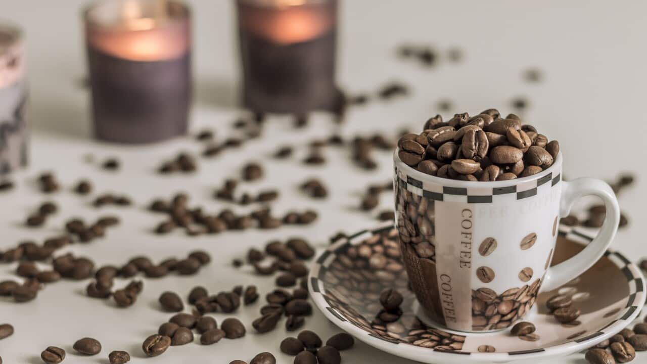 Coffee