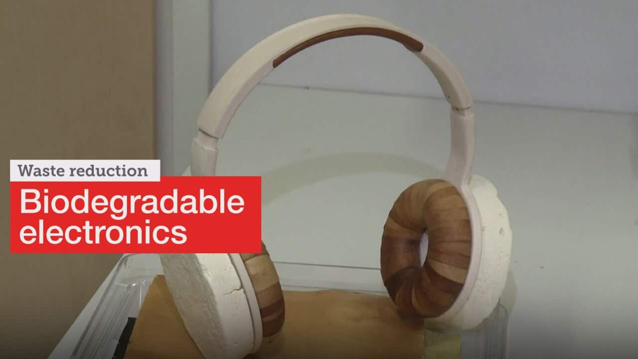 Finnish scientists create biodegradable headphones out of yeast and fungus
