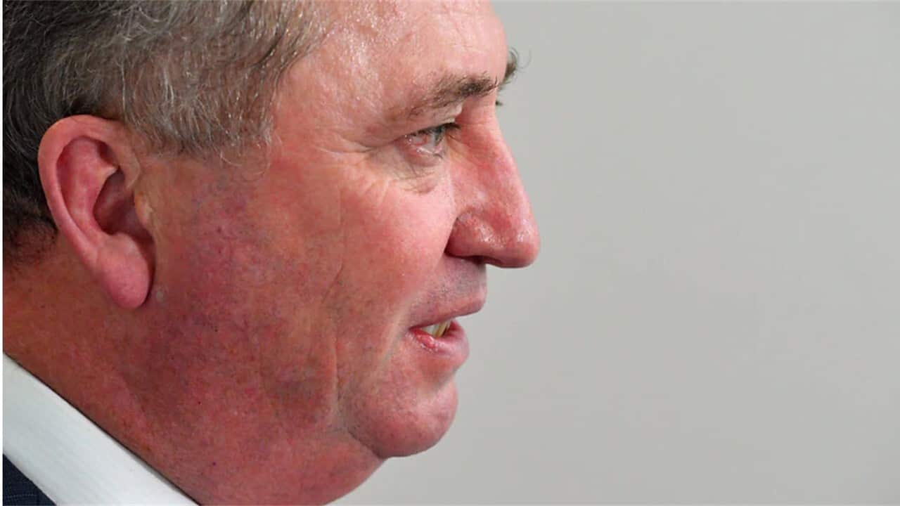 Deputy Prime Minister Barnaby Joyce