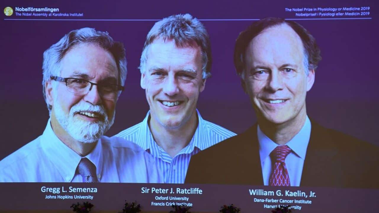 The winners of the 2019 Nobel Prize in Physiology or Medicine.