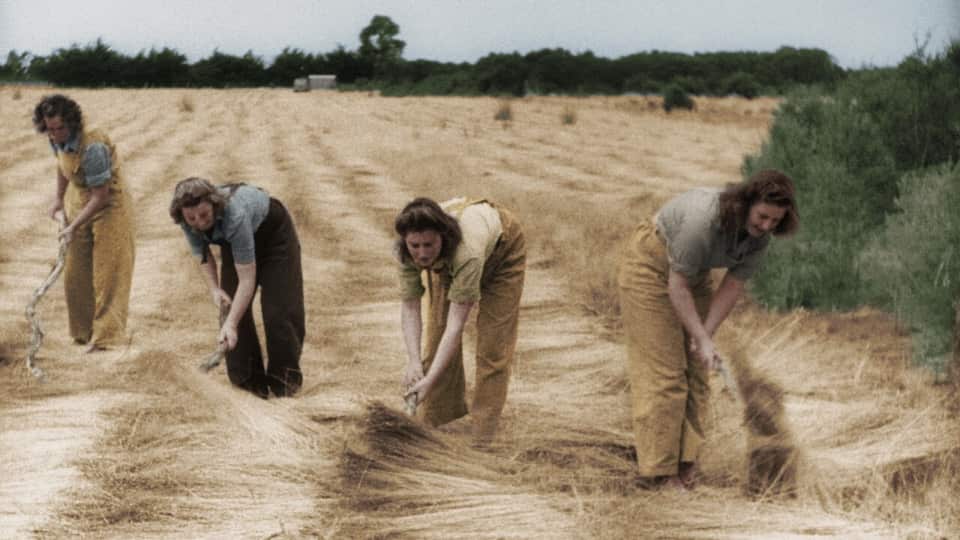 How the Second World War changed the game for Australian women | SBS Voices