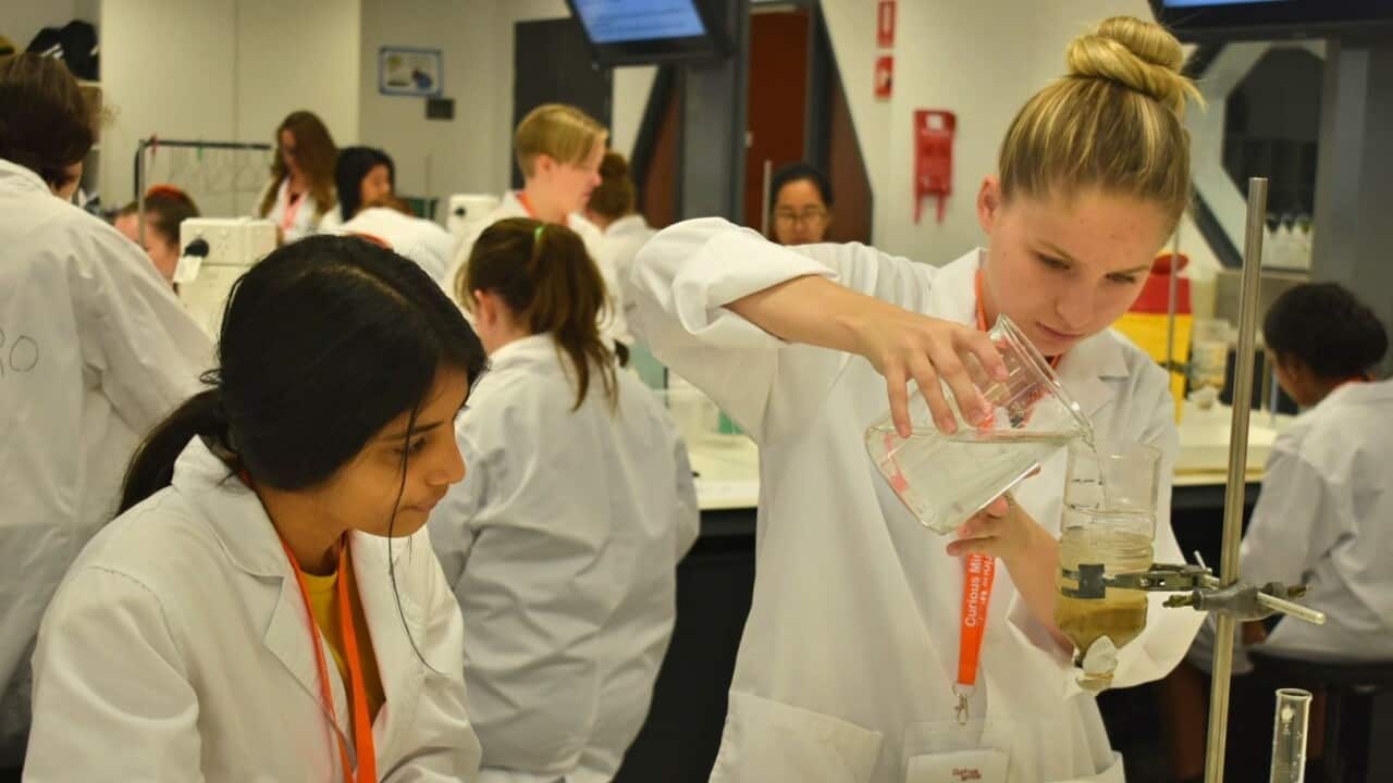 Students build water filters and collect flow rate data as part of the Curious Minds program