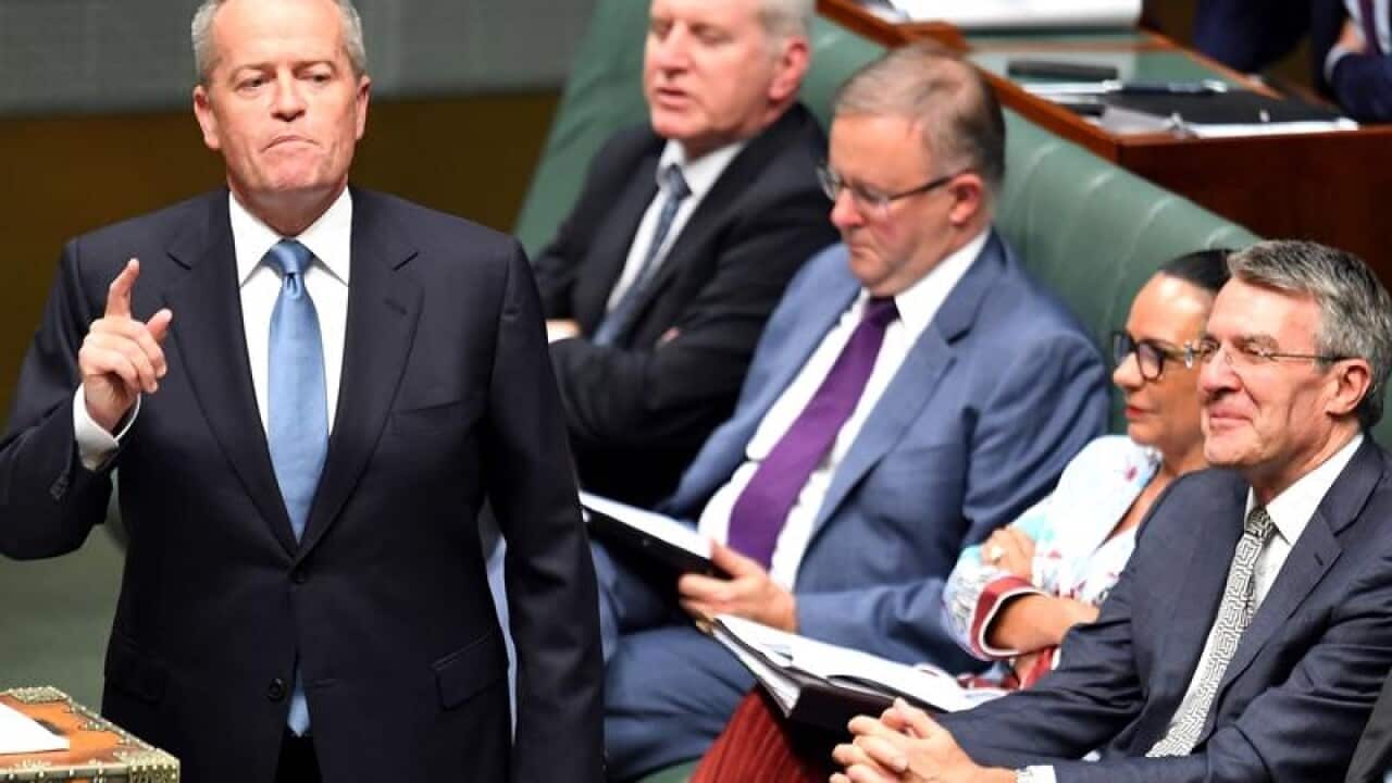 Leader of the Opposition Bill Shorten (Left) during Question Time