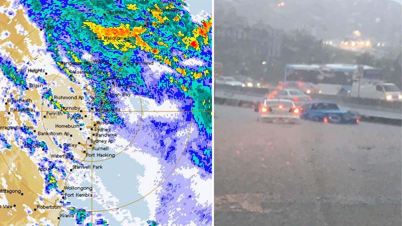 Sydney storm: SES volunteer dies on duty as NSW braces for more horror weather.