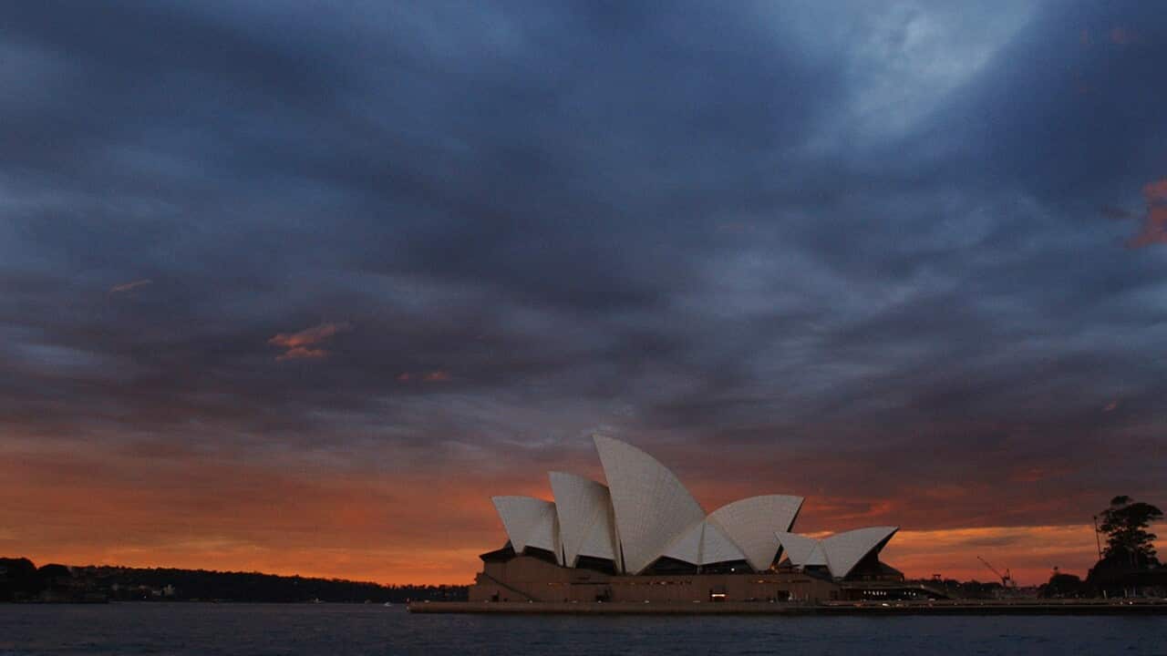 SYDNEY CITY WINTER