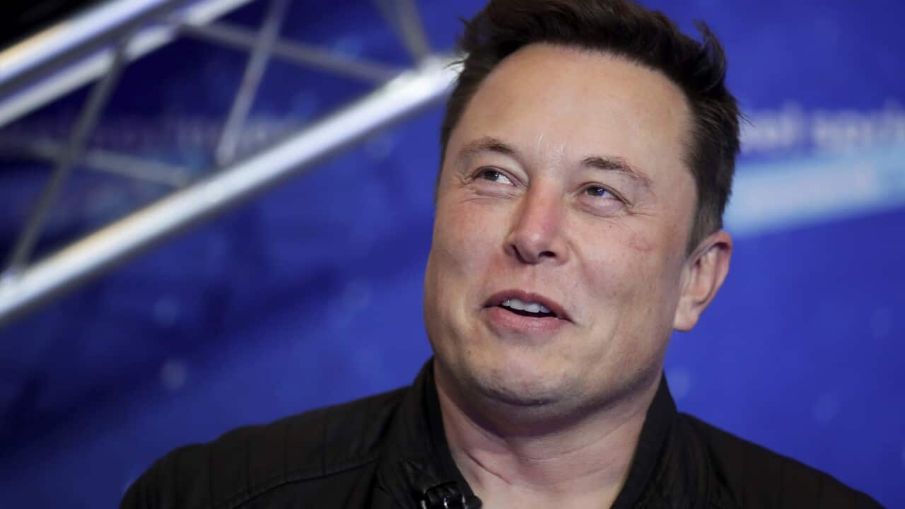 Twitter Musk