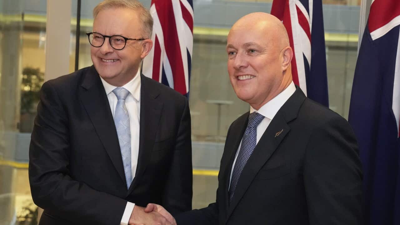 Australia New Zealand