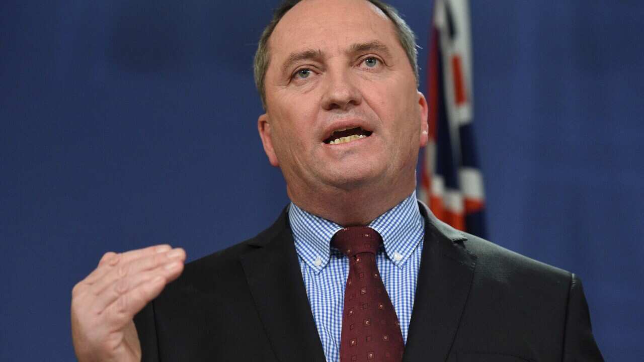 Deputy Prime Minister Barnaby Joyce