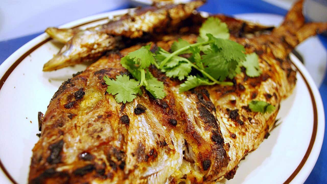 Grilled snapper