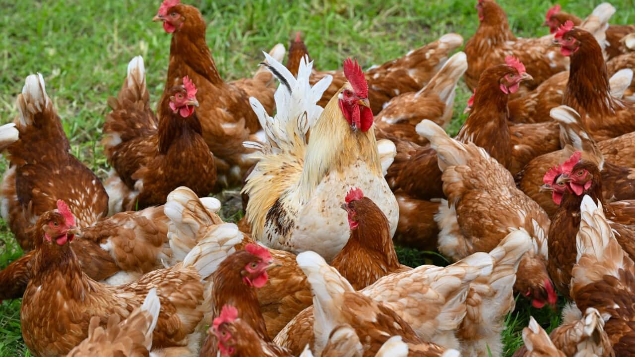 Image for read more article ''