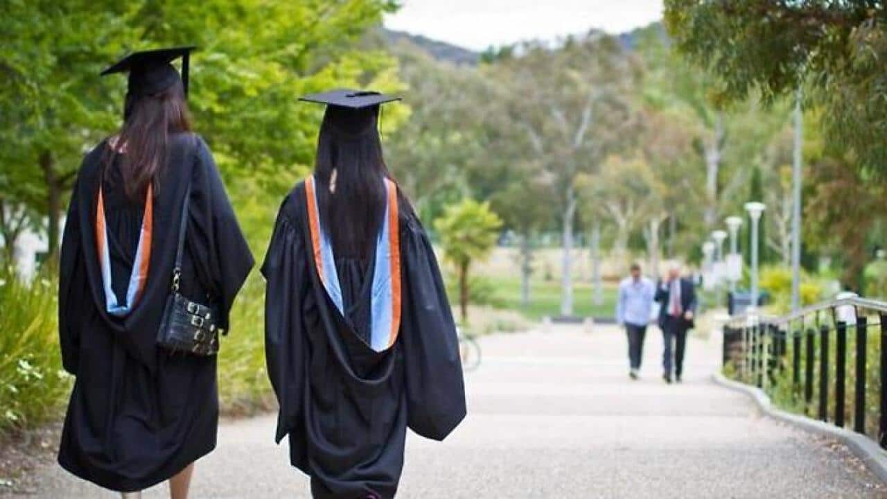 World University Rankings