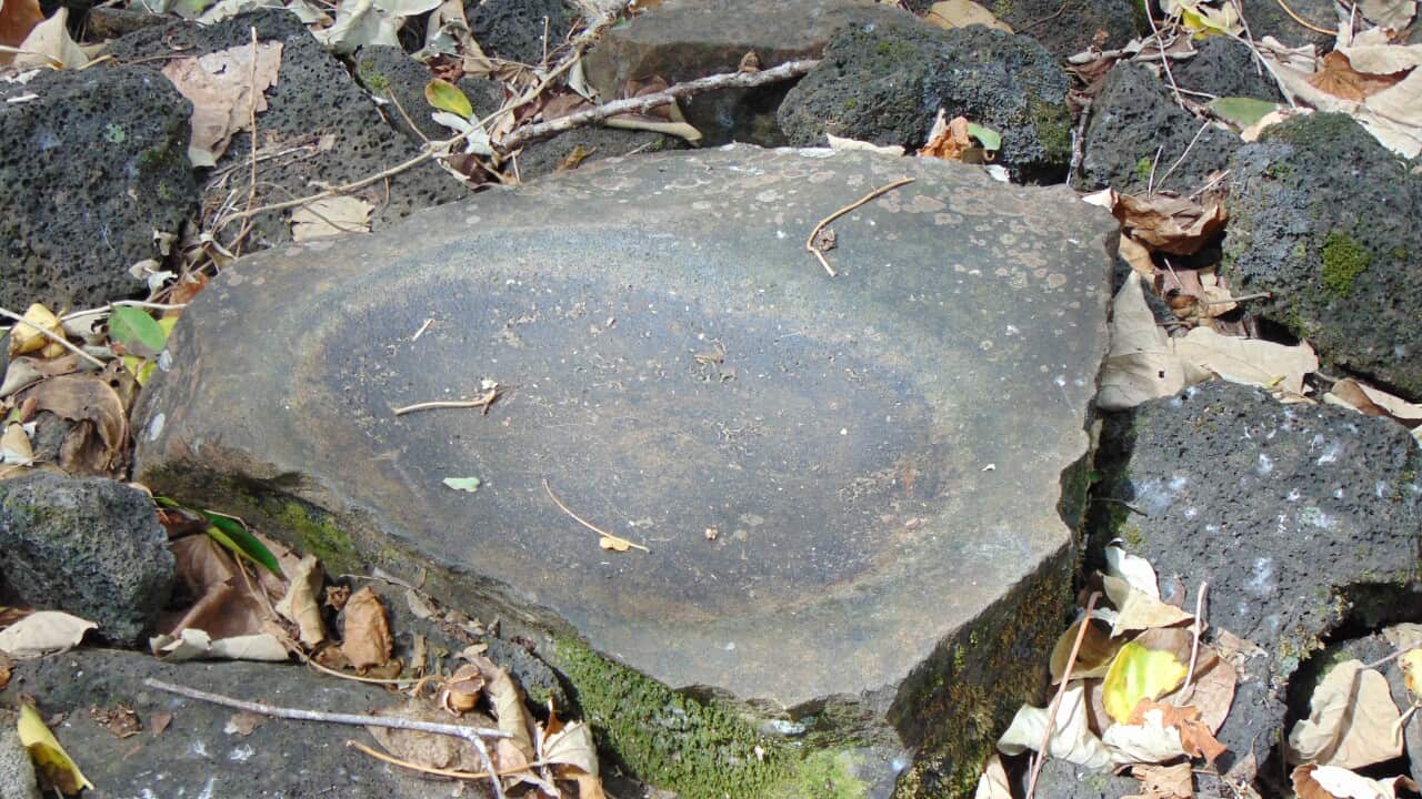 Tanoa i le fale o Tigilau.