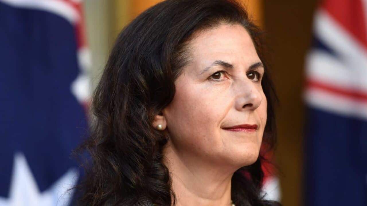 澳洲部长抨击中国对太平洋岛国援助学者：不好一概而论| SBS Chinese