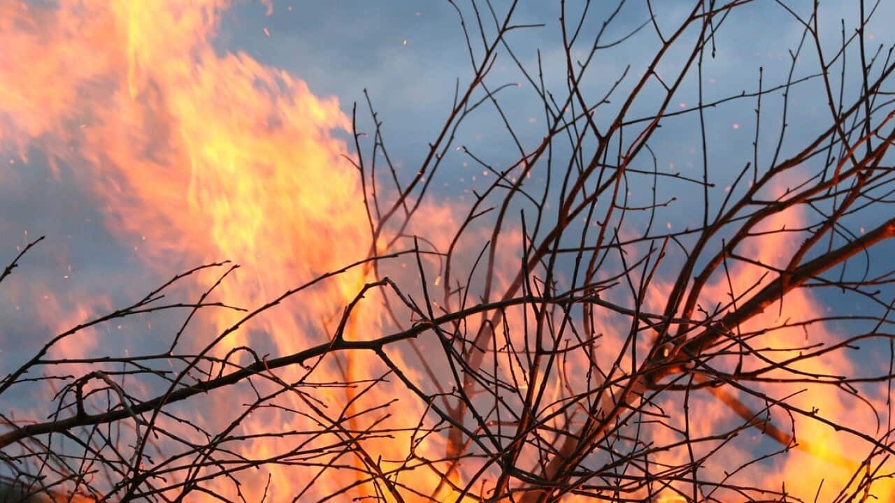 Australia is one of the most bushfire-prone lands in the world