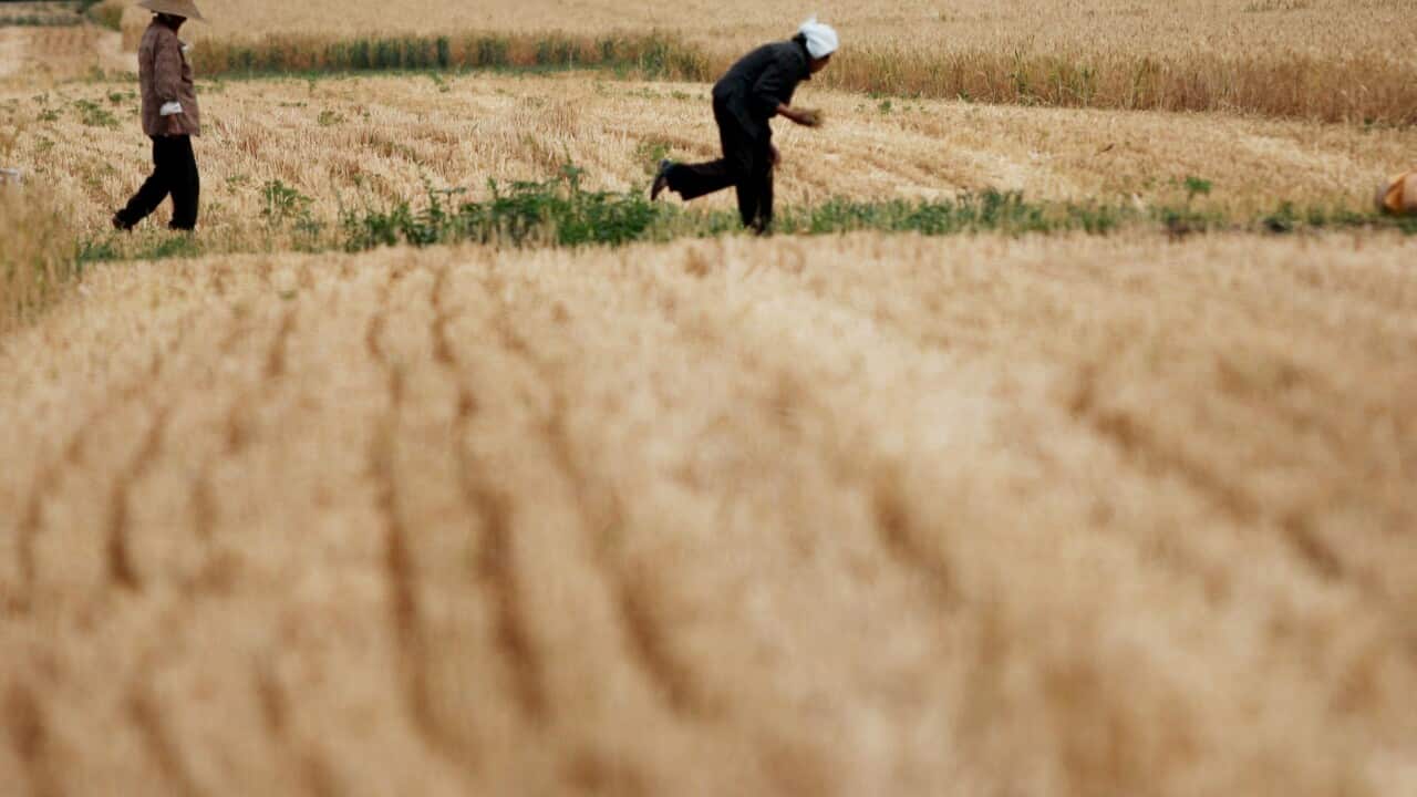 china_farm_140419_Getty.jpg