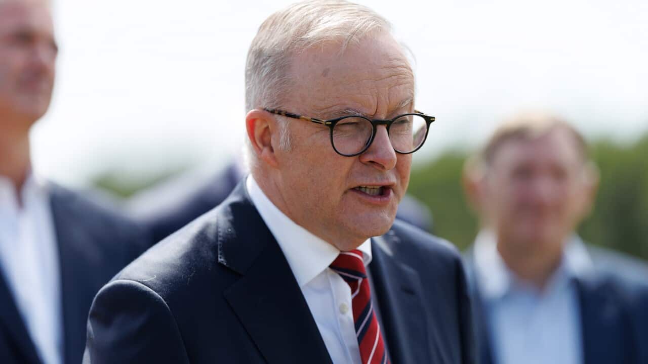 ANTHONY ALBANESE SYDNEY VISIT