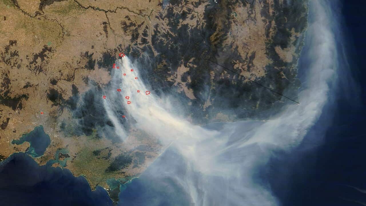 Image for read more article ''