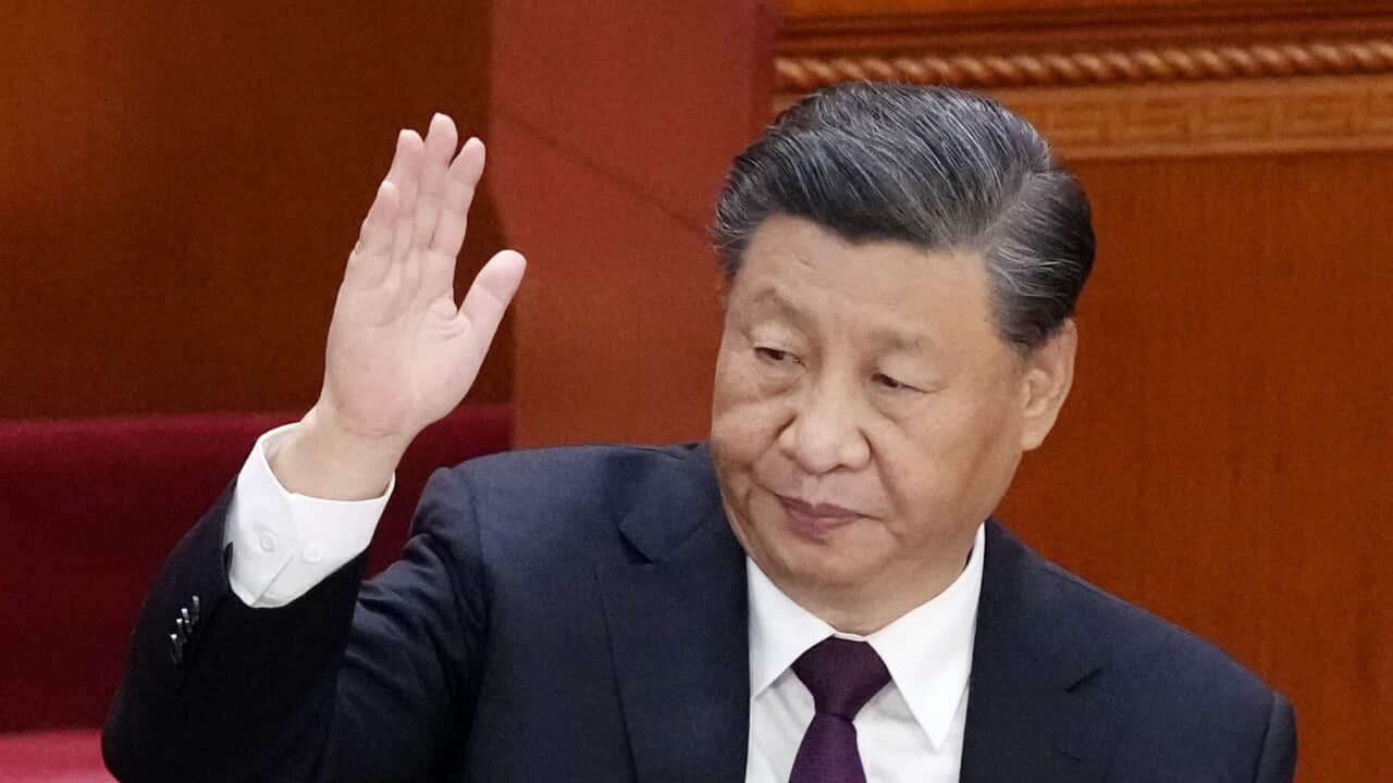 Image for read more article 'Leer:'