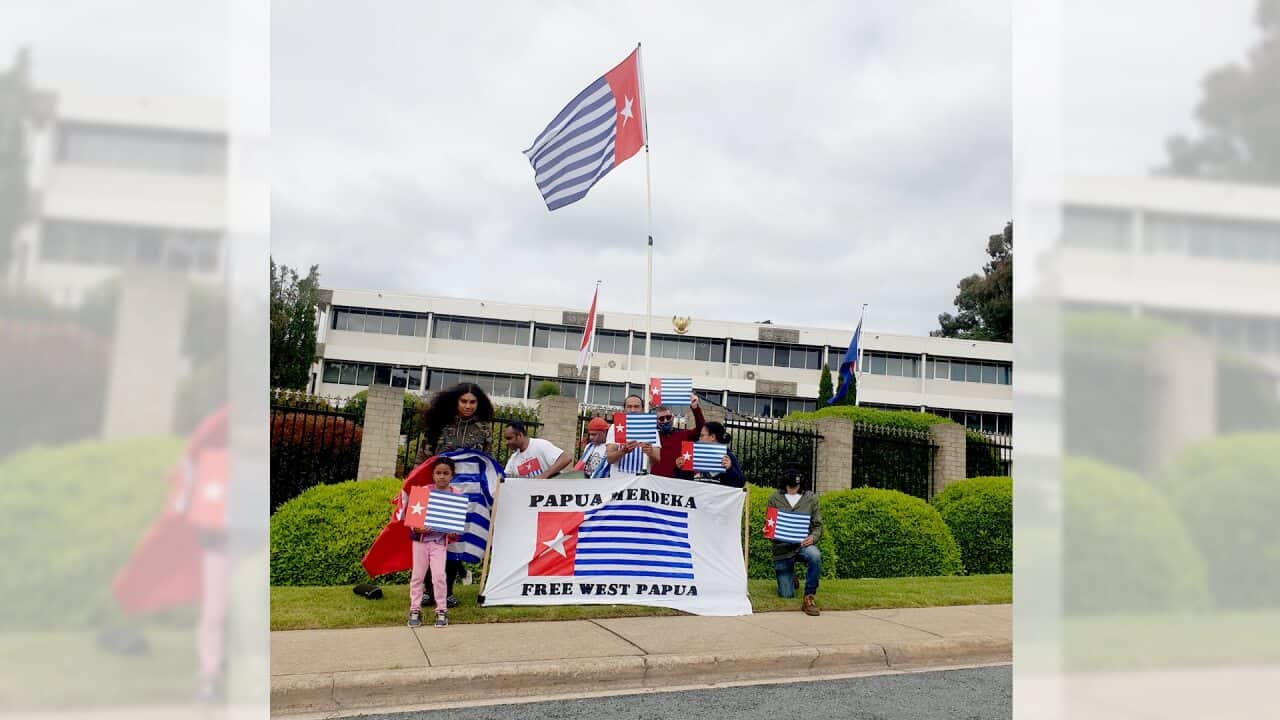 A small group of people supporting indepedence for West Papua stand outside the Indonesian Embassy in Canberra holding Morning Star flags.