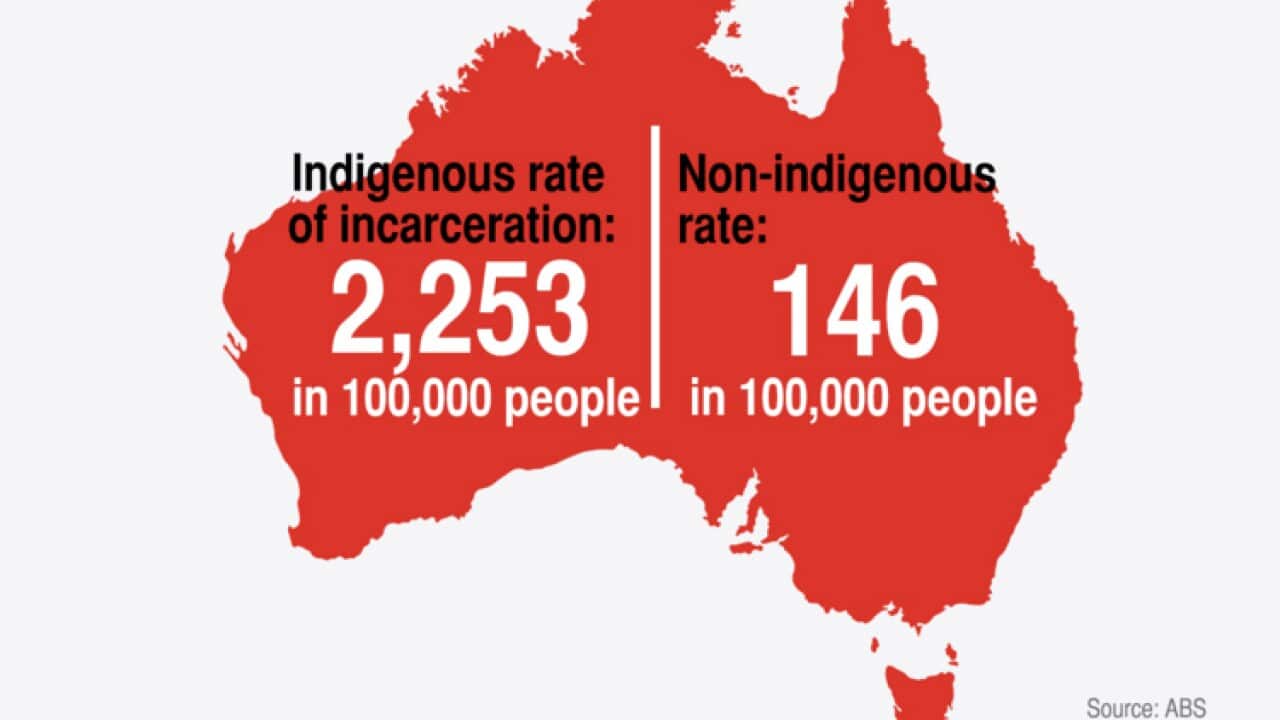 Infographics Indigenous incarceration in Australia at a glance SBS NITV