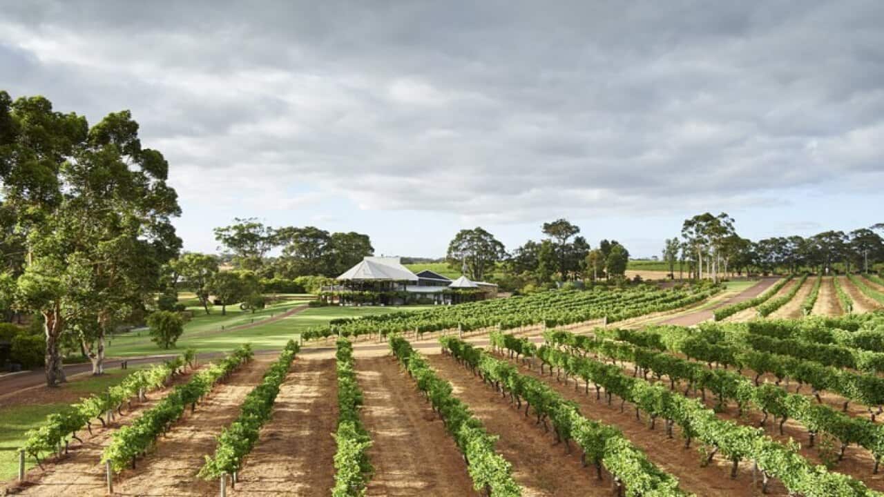 Australian Wine Today: Fresh, Crunchy and ‘Smashable’