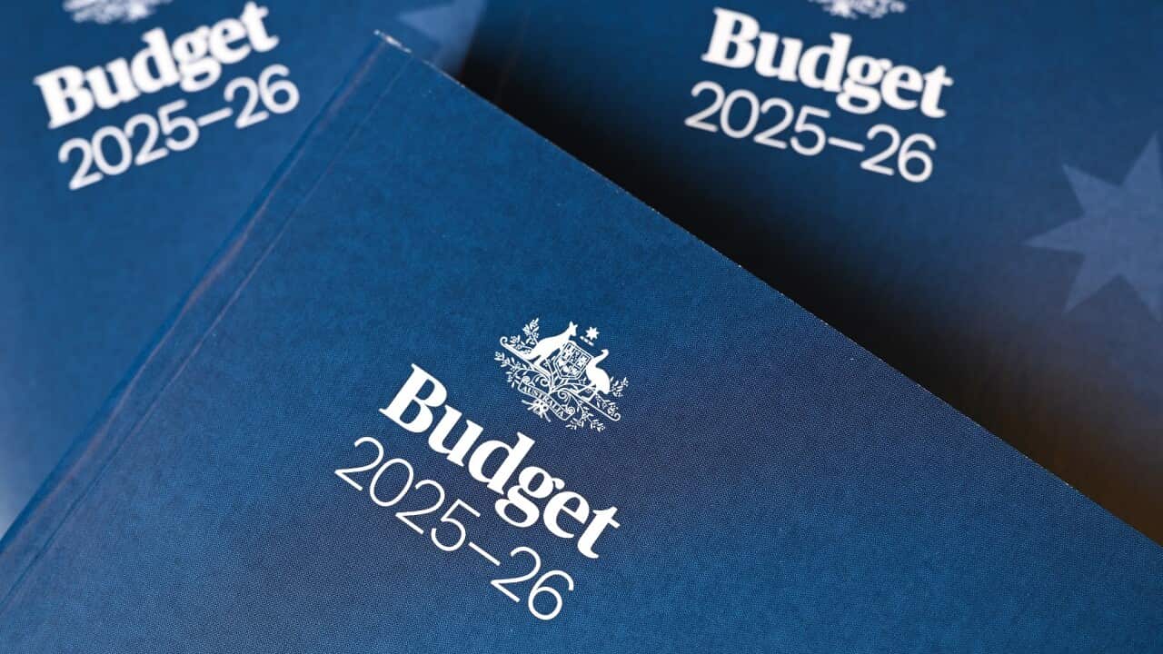 FEDERAL BUDGET 2025