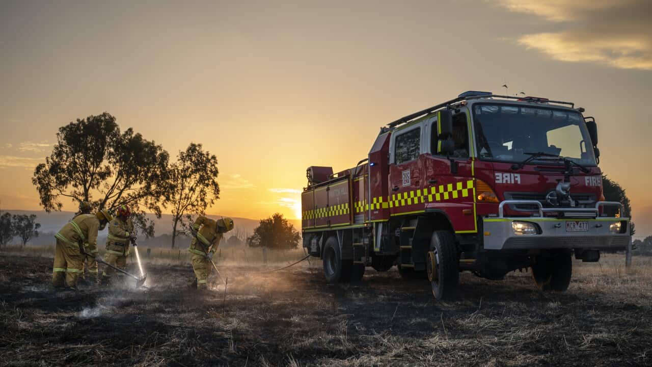 Image for read more article 'පසුගිය පුවත්'