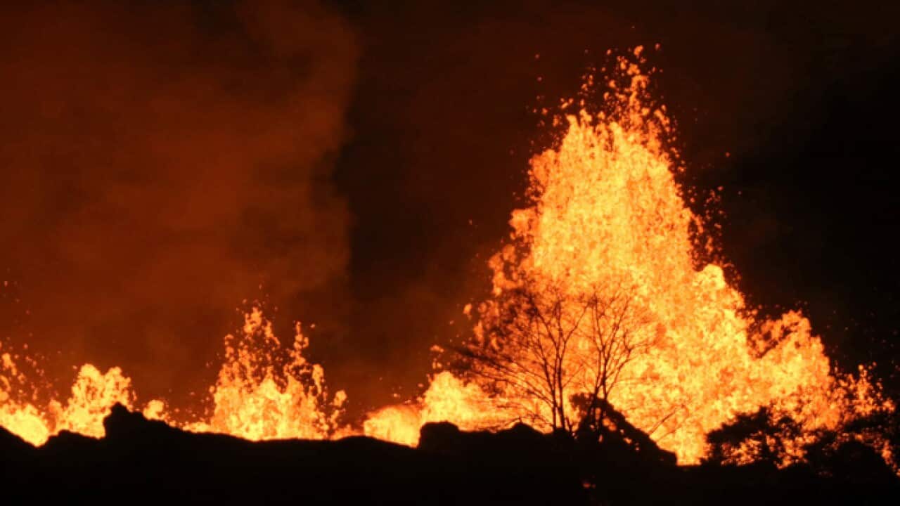 Lava from an open fissure on Kilauea volcano shoots high above a tree, Sunday, May 20, 2018 near Pahoa, Hawaii. (AP Photo/Caleb Jones)