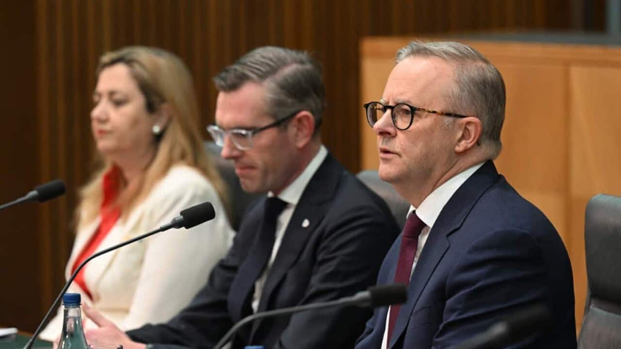 Prime Minister Anthony Albanese (right).jpg