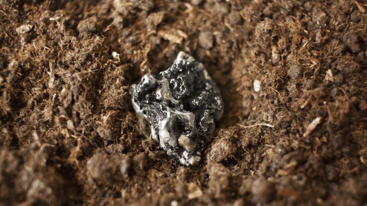 Rare-earth element metals, ore, electronic components, scandium, yttrium, lanthanum, cerium, praseodymium