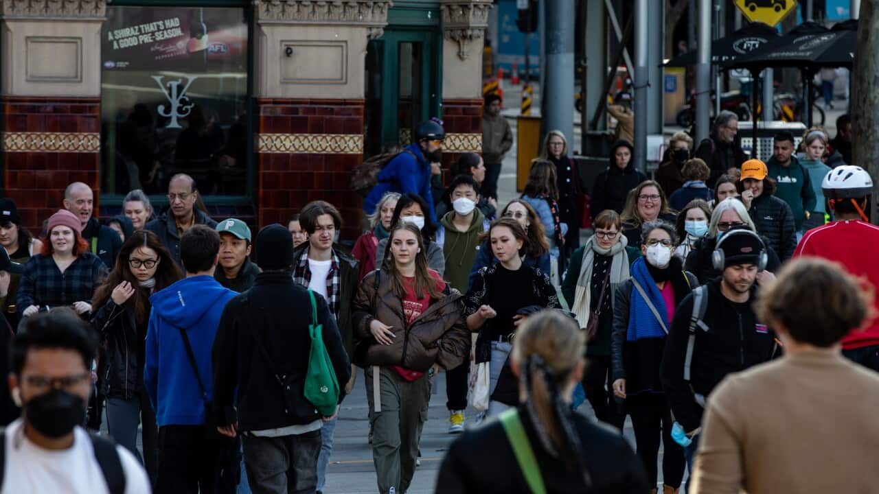 ABS 2021 CENSUS STOCK