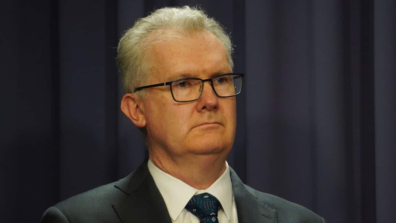 Home Affairs Minister Tony Burke during the media conference announcing the strategy (AAP)