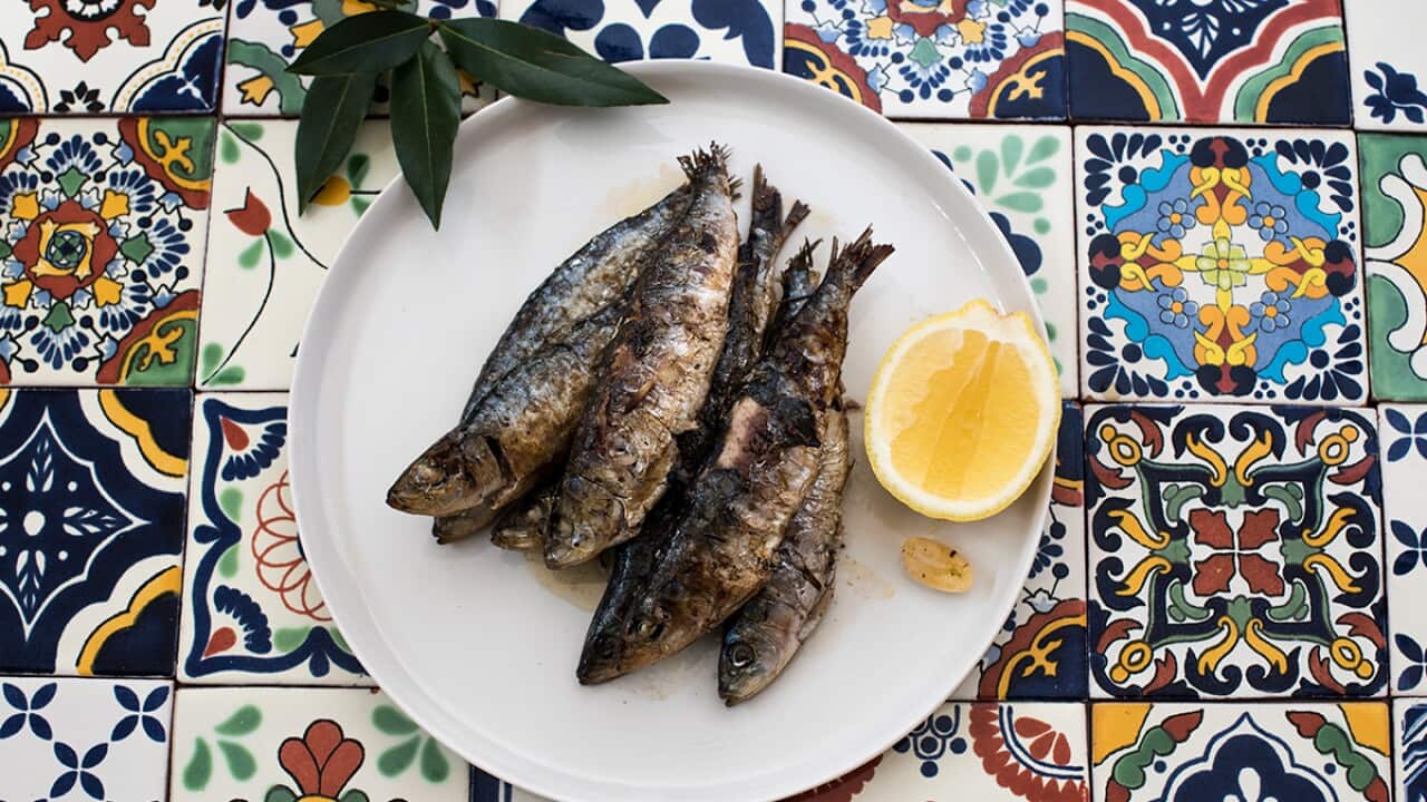 Grilled sardines SBS Food