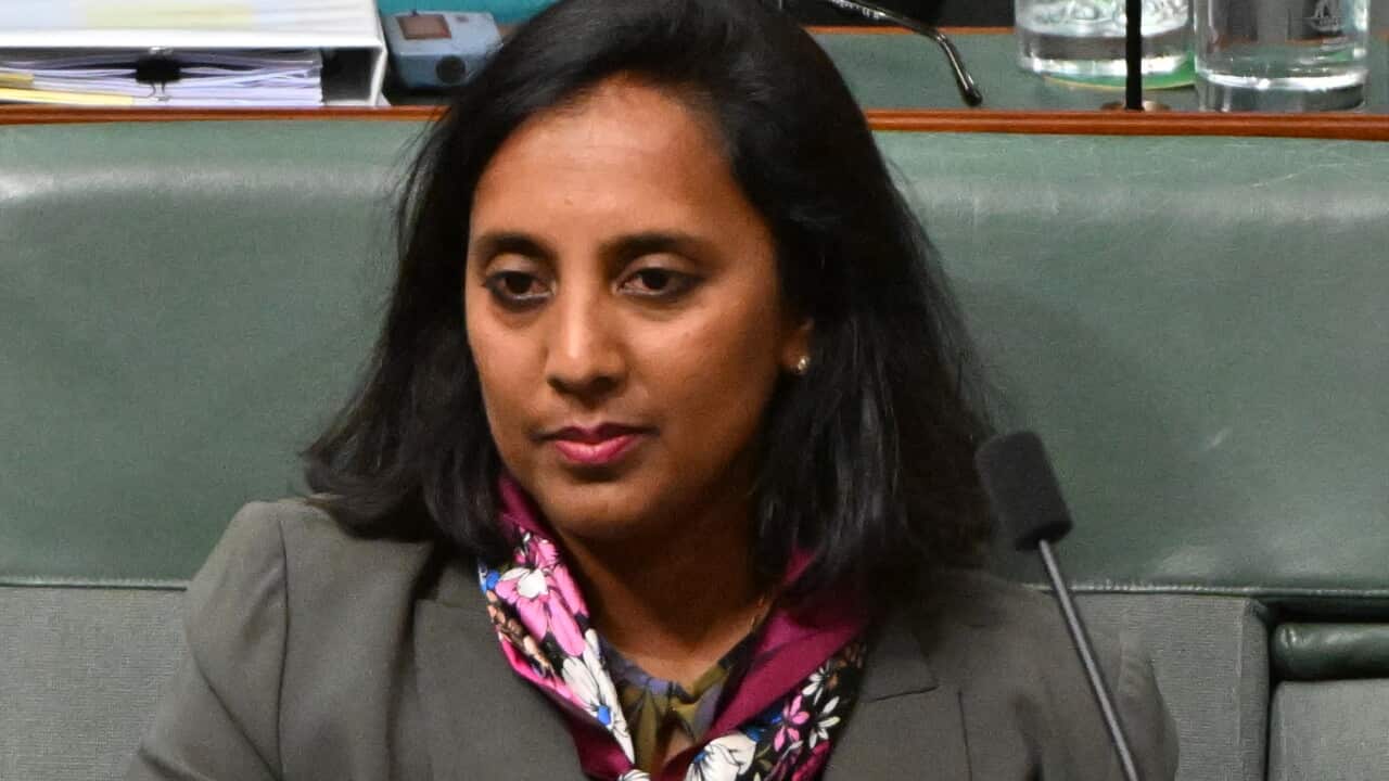 Labor MP’s Reddit broadside: ‘Rewarding conspiracy theorists?’ Labor MP’s Reddit broadside: ‘Rewarding conspiracy theorists?’
