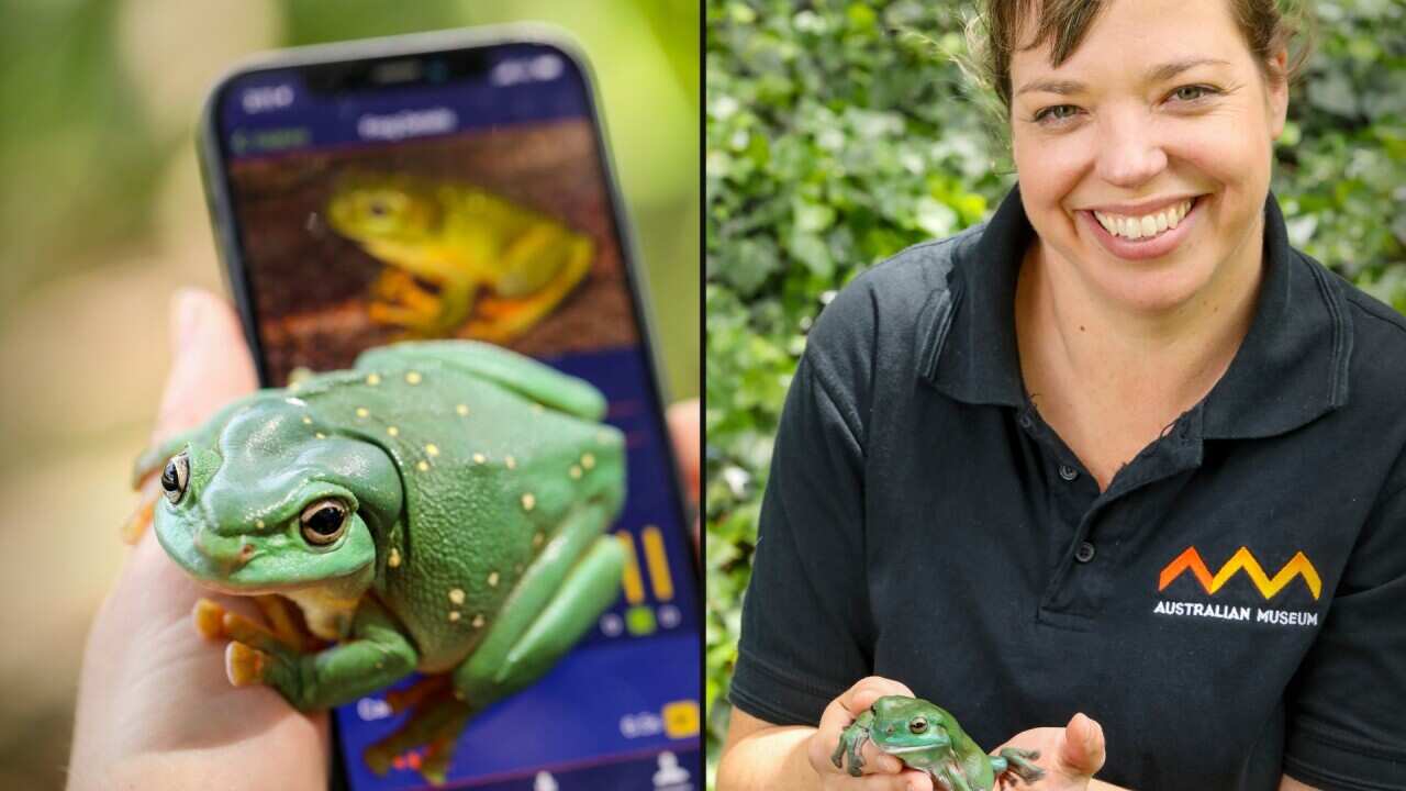 A composite image of the app and FrogID lead scientist Dr Jodi Rowley_Photo credits_Salty Dingo.jpg