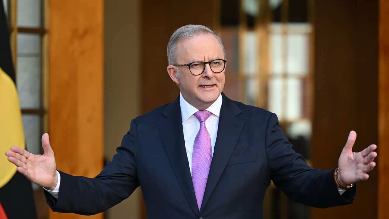 ANTHONY ALBANESE PRESSER