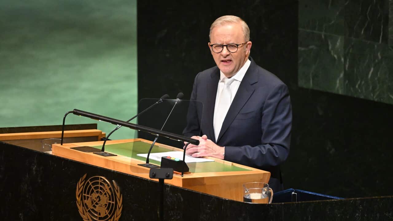 ANTHONY ALBANESE UNITED NATIONS