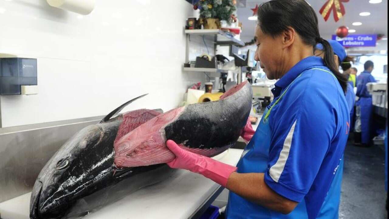 A worker prepares tuna at the Sydney Fish Markets