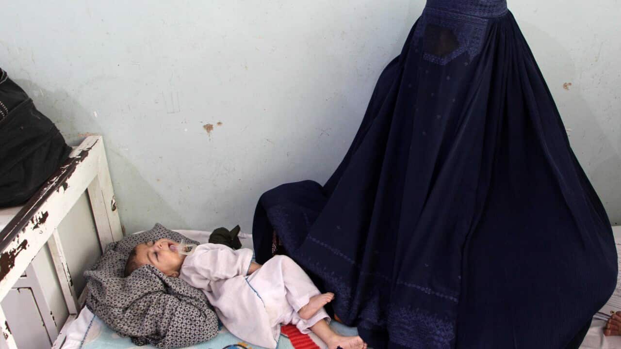 Malnutrition crisis escalates in Afghanistan says Red Cross and Red Crescent